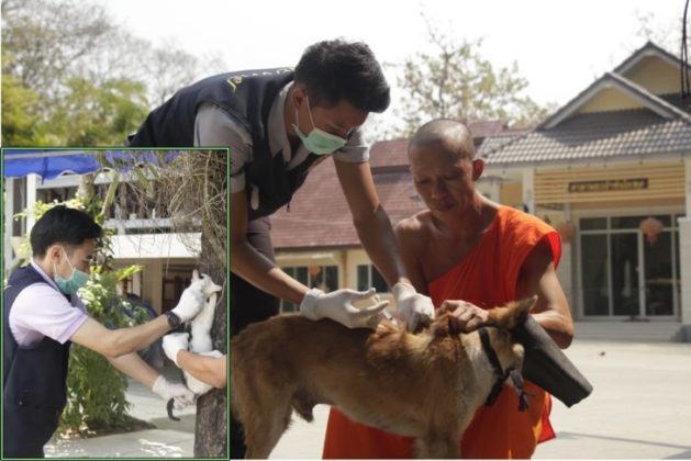 ระดมฉีดวัคซีนหมาแมวป้องกันโรคพิษสุนัขบ้า - เส้นทางเศรษฐี